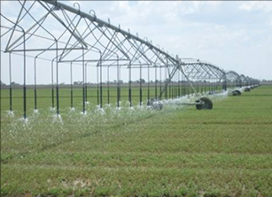 Spray irrigator